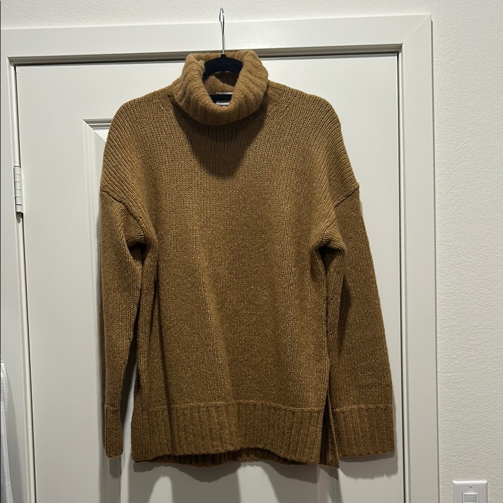 Everlane Oversized Cloud Turtleneck - image 1